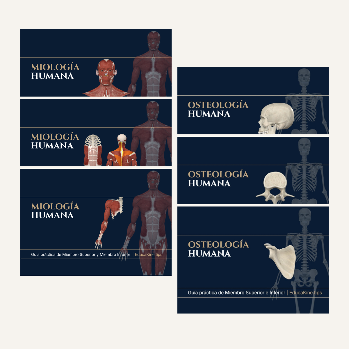 MIOLOGÍA Y OSTEOLOGÍA COMPLETO